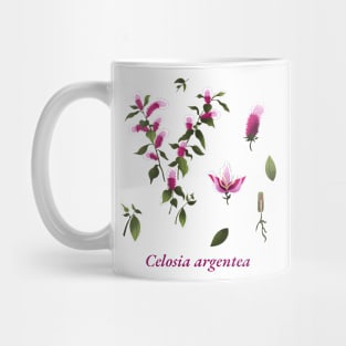 celosia argentea flowers Blume Mug